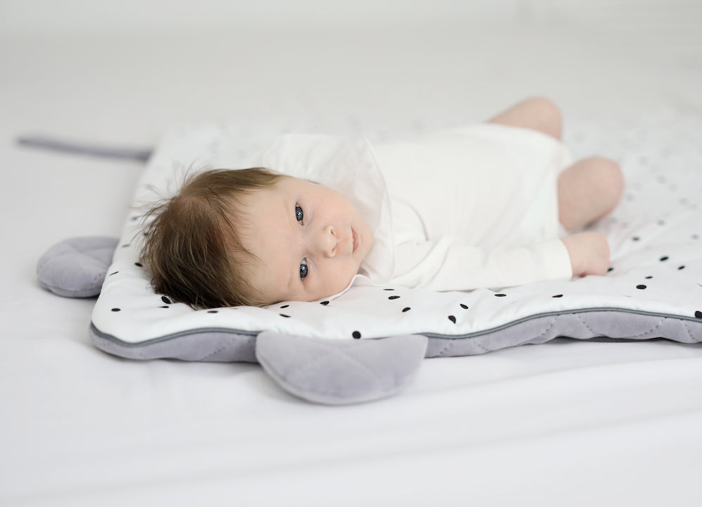 Royal Baby Saco capazo cuco Royal baby