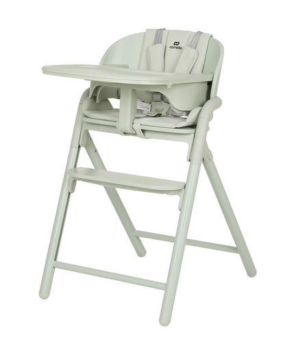 Carrello Trona evolutiva para bebé Tenero