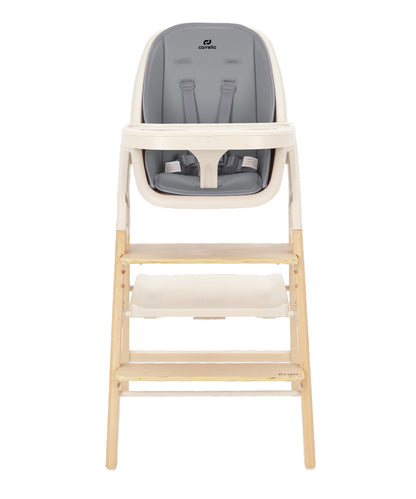 Carrello Trona evolutiva para bebé Ergo 4en1