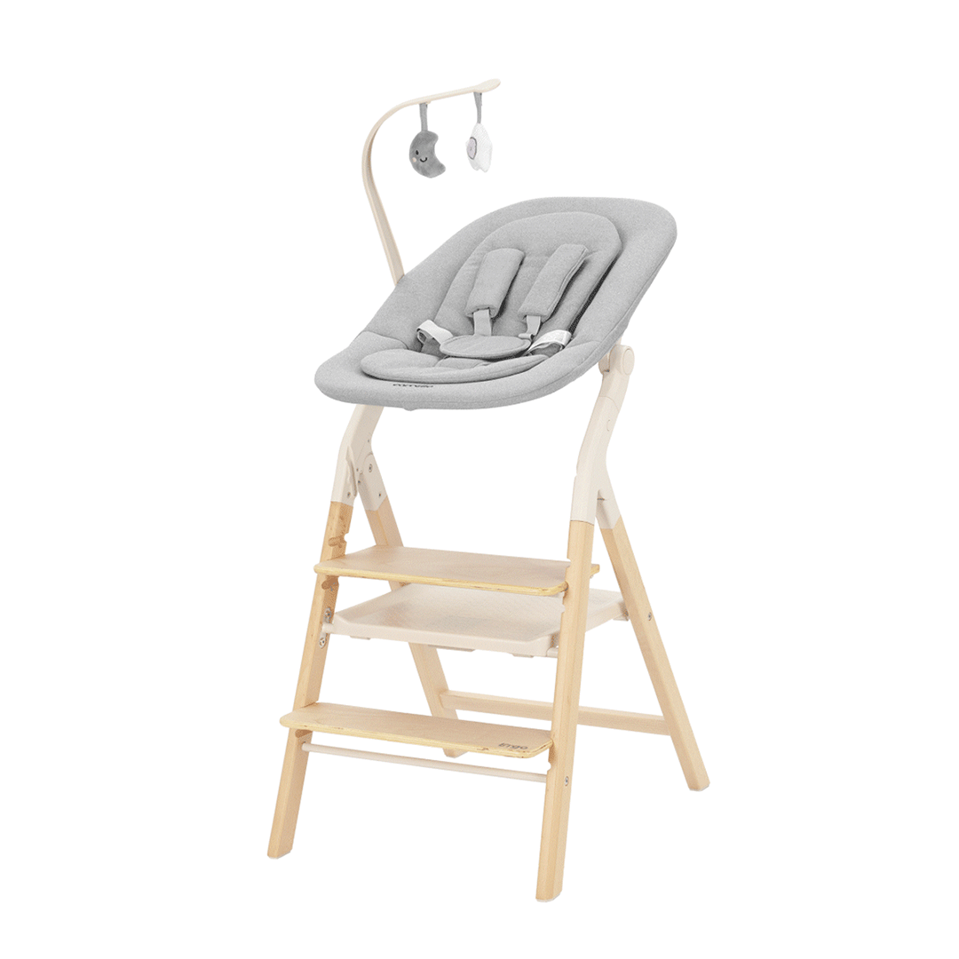 Carrello Trona evolutiva para bebé Ergo 4en1