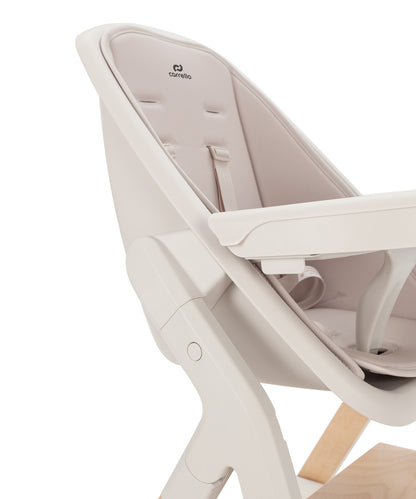 Carrello Trona evolutiva para bebé Ergo 4en1