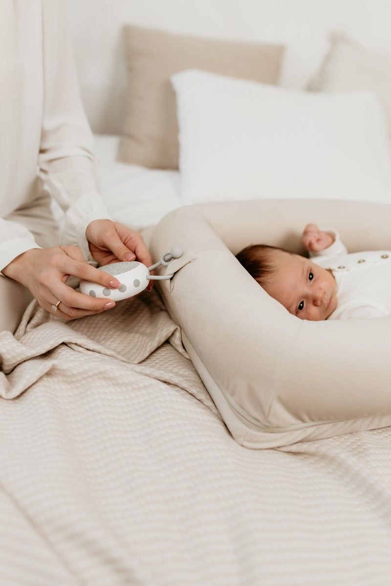 Arco de juegos con sonidos Sleepee