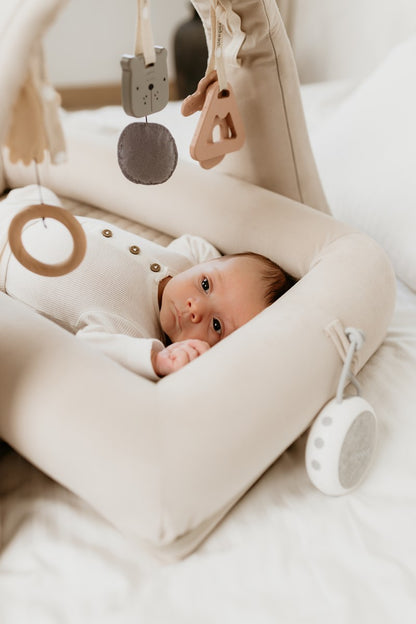 Arco de juegos con sonidos Sleepee